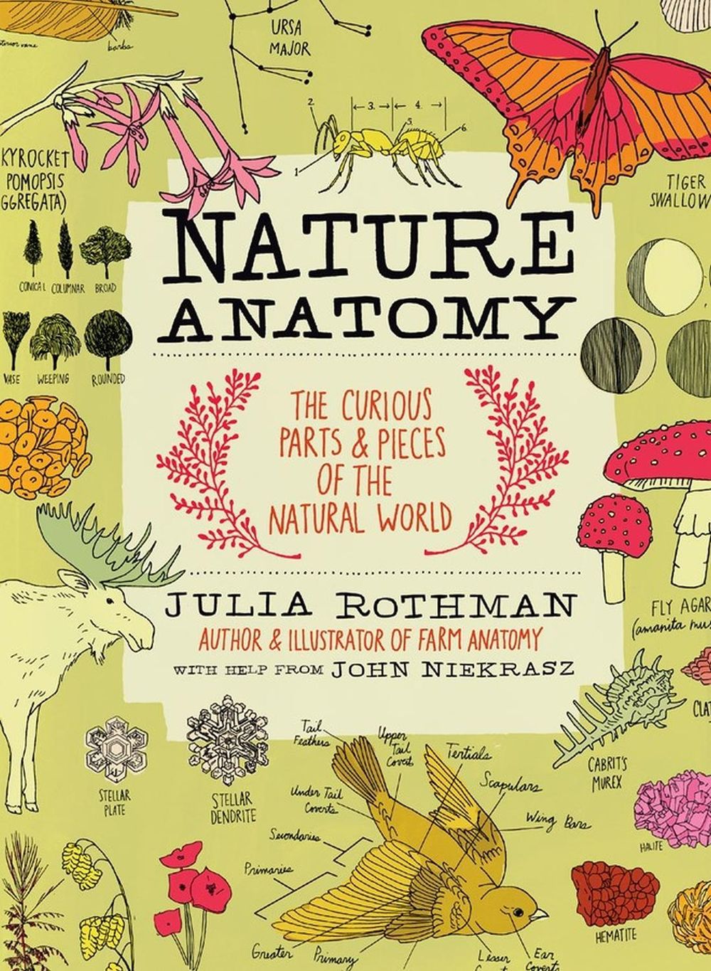 Nature Anatomy by Julia Rothman - ISBN: 9781612122311