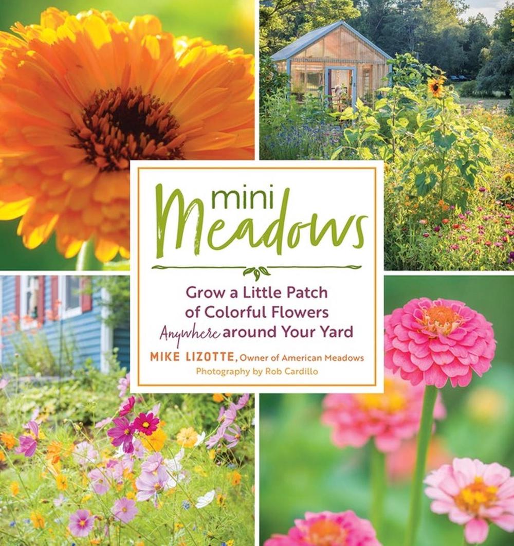 Mini Meadows by Mike Lizotte - ISBN: 9781612128351