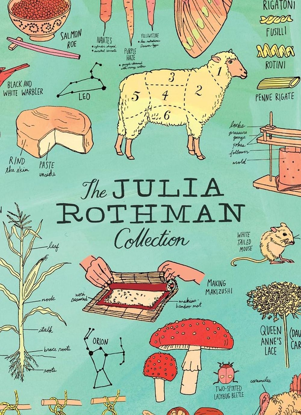 The Julia Rothman Collection by Julia Rothman - ISBN: 9781612128528