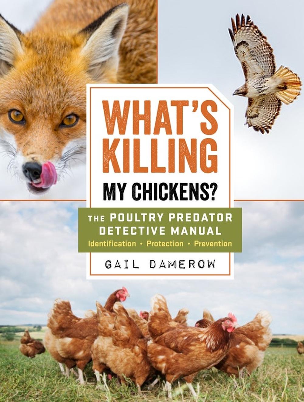 What's Killing My Chickens? by Gail Damerow - ISBN: 9781612129099