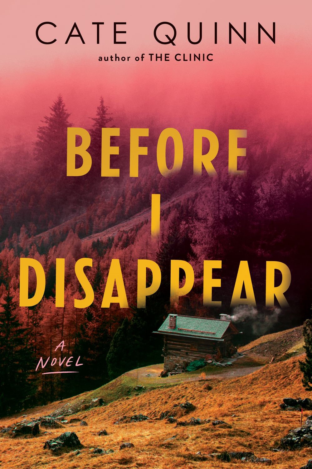 Before I Disappear by Cate Quinn - ISBN: 9781615957613