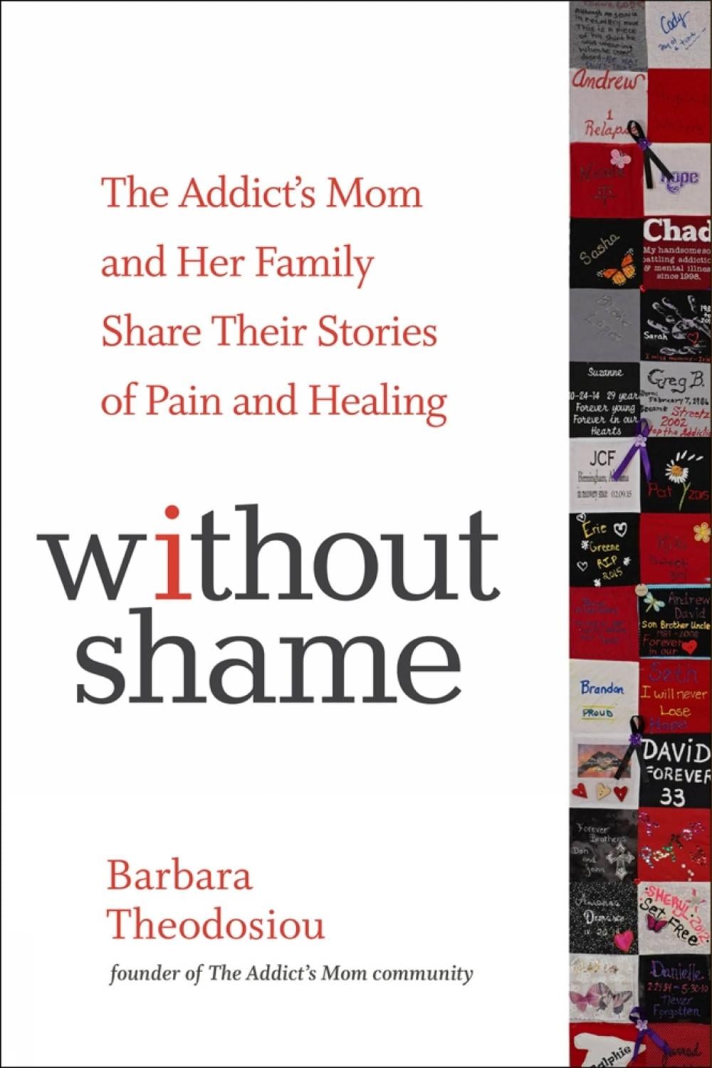 Without Shame by Barbara Theodosiou - ISBN: 9781616497798