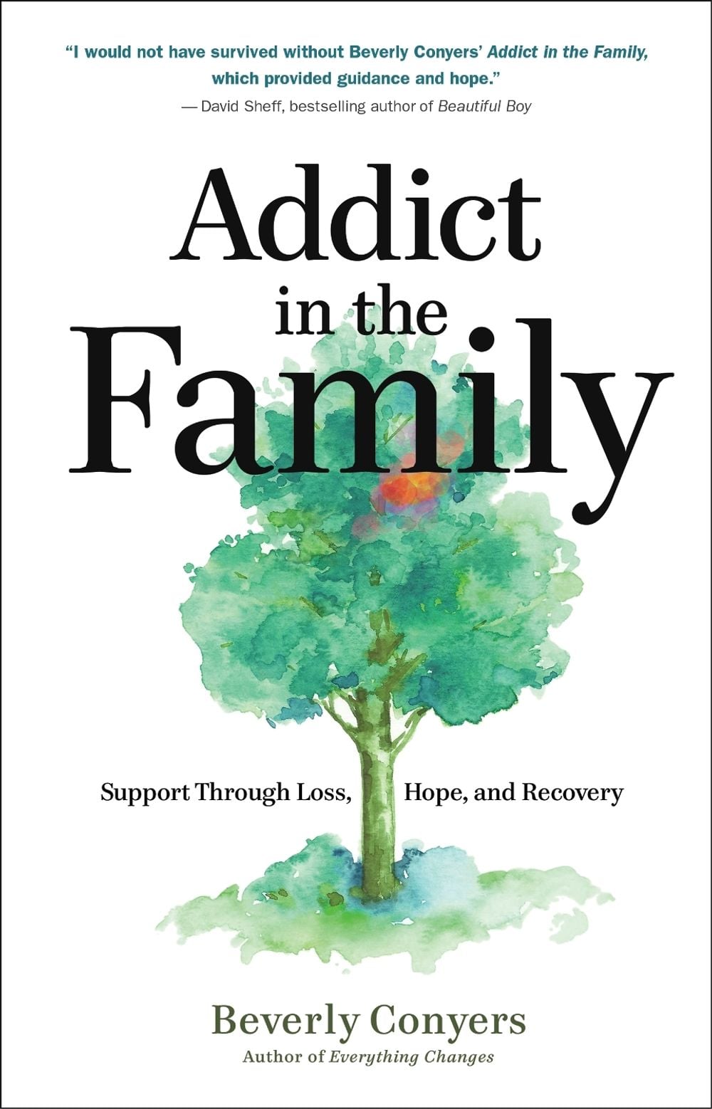 Addict in the Family by Beverly Conyers - ISBN: 9781616499556