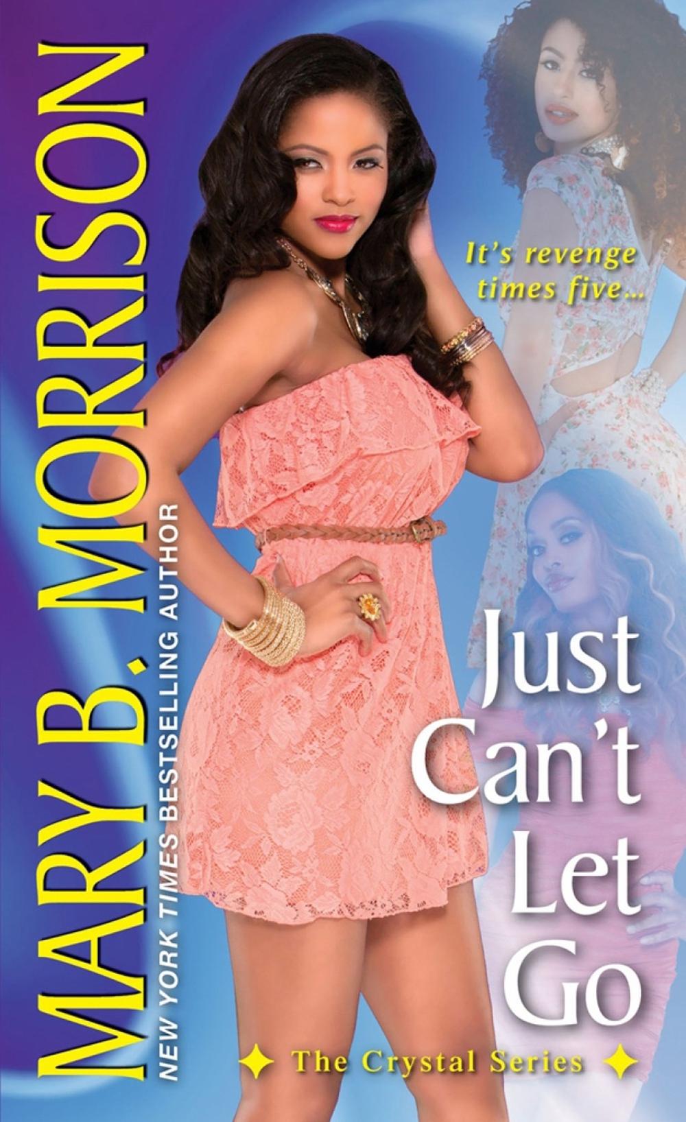 Just Can't Let Go by Mary B. Morrison, Paperback ...