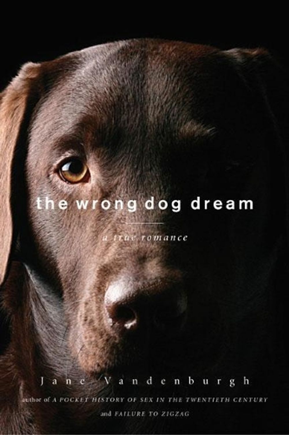 The Wrong Dog Dream by Jane Vandenburgh - ISBN: 9781619023178