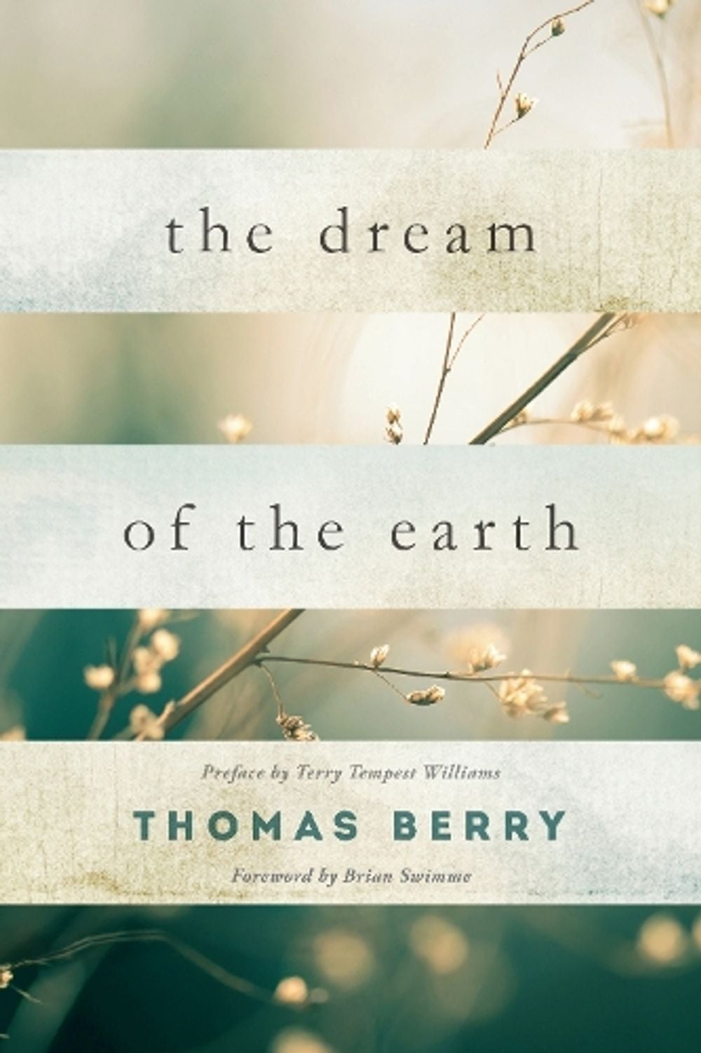The Dream of the Earth by Thomas Berry - ISBN: 9781619025325