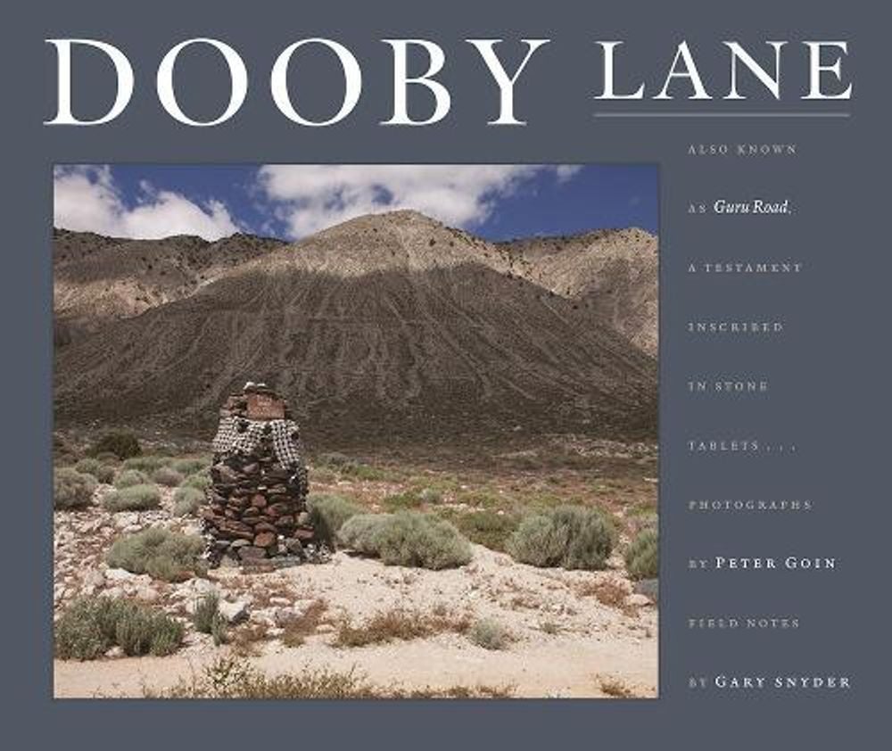 Dooby Lane by Peter Goin - ISBN: 9781619027909