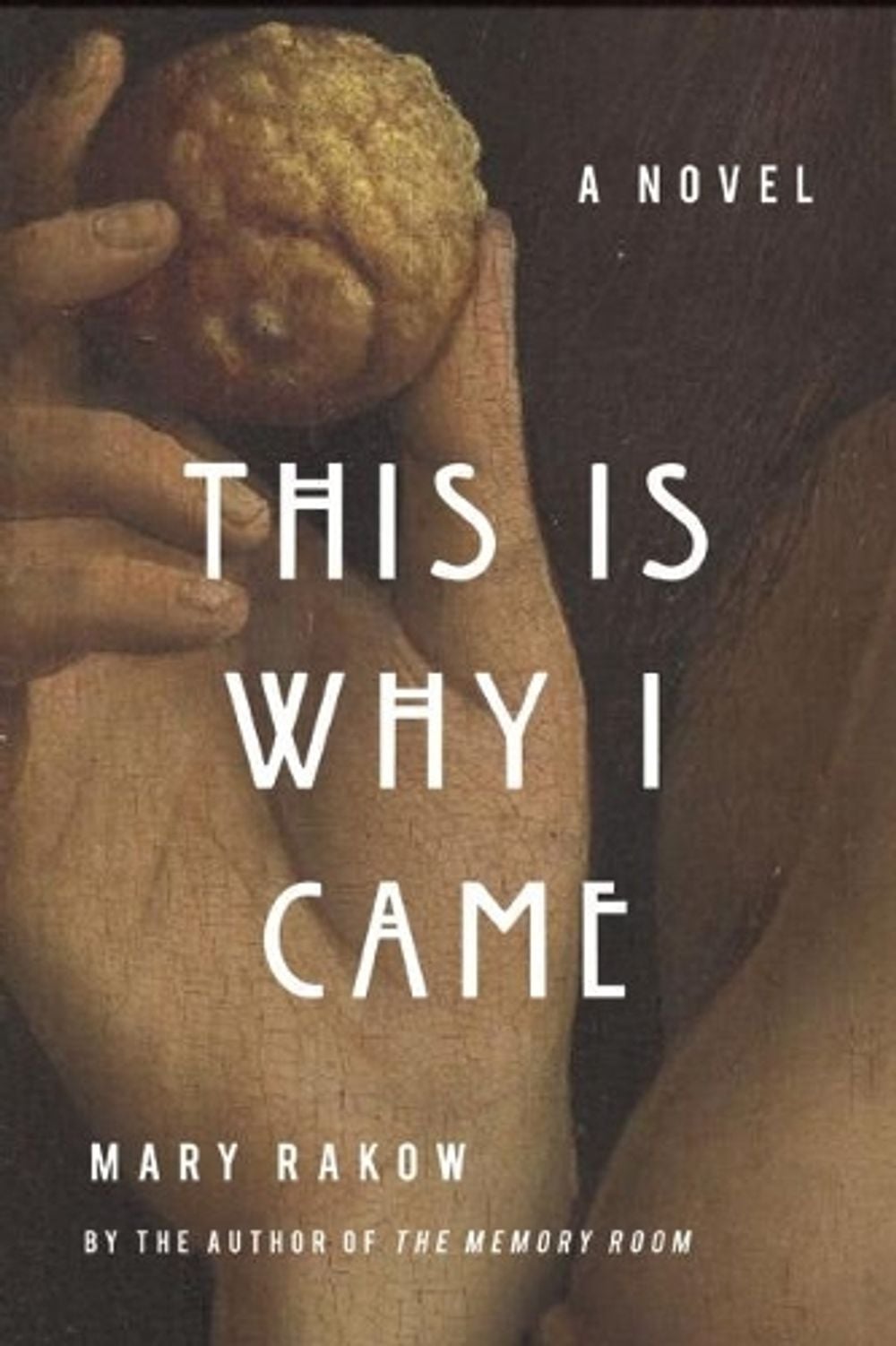 This Is Why I Came by Mary Rakow - ISBN: 9781619028289