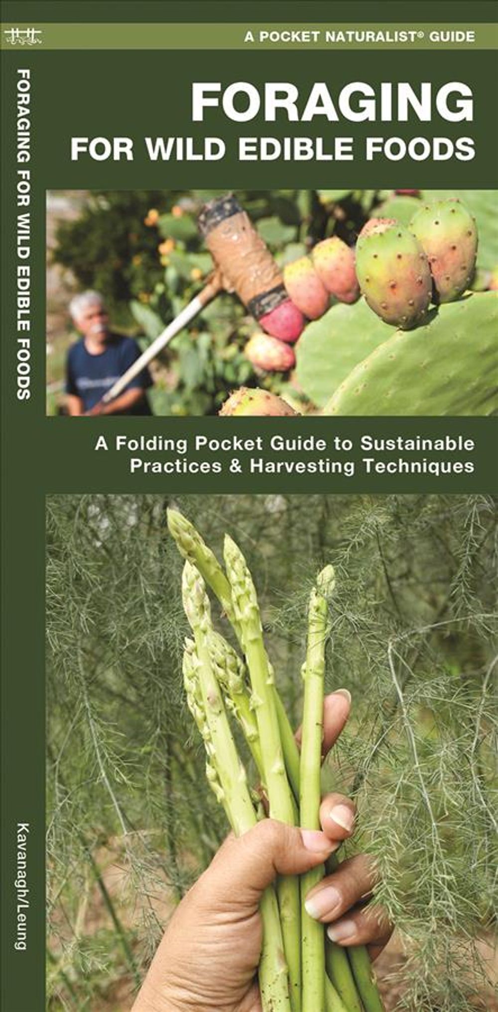 Foraging for Wild Edible Foods by James Kavanagh - ISBN: 9781620052785