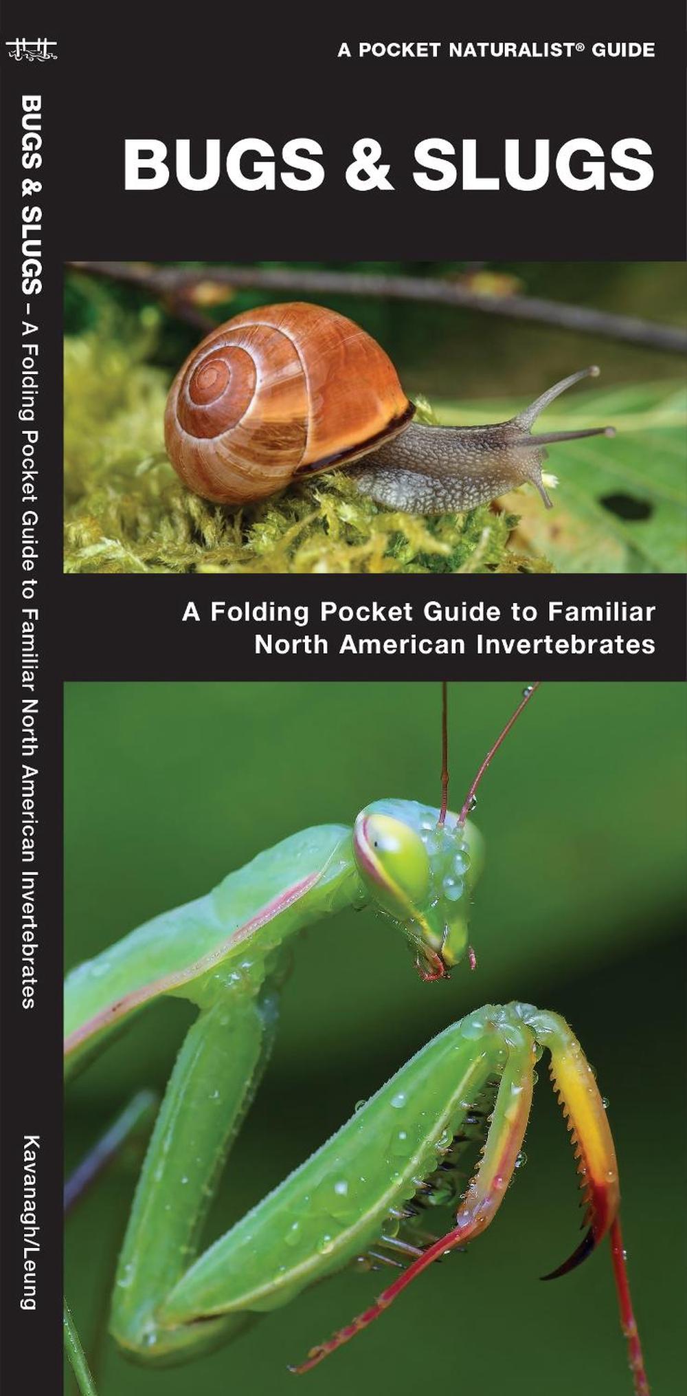Bugs & Slugs, 2nd Ed by James Kavanagh - ISBN: 9781620052860
