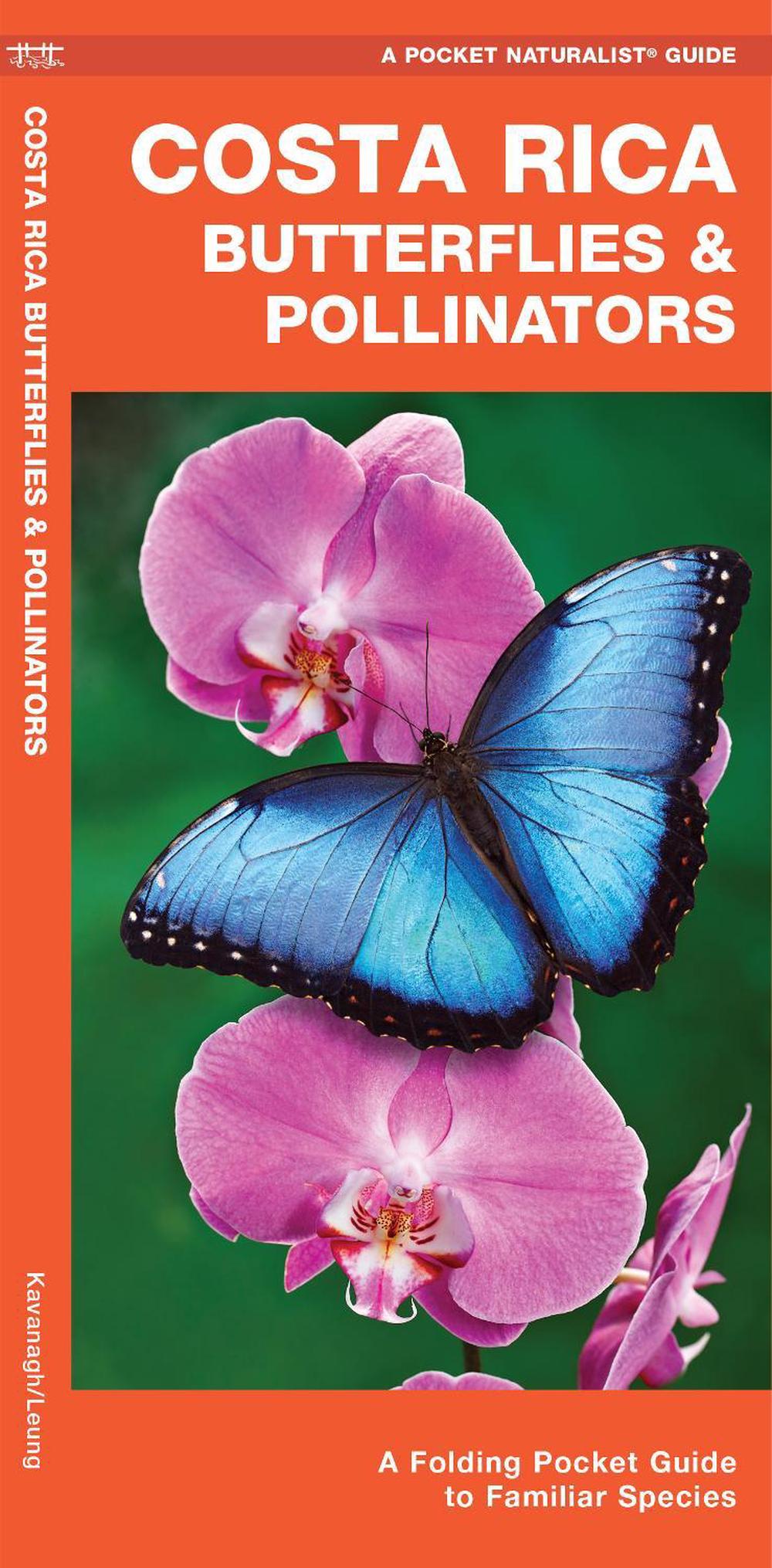 Costa Rica Butterflies & Pollinators, 9781620054659