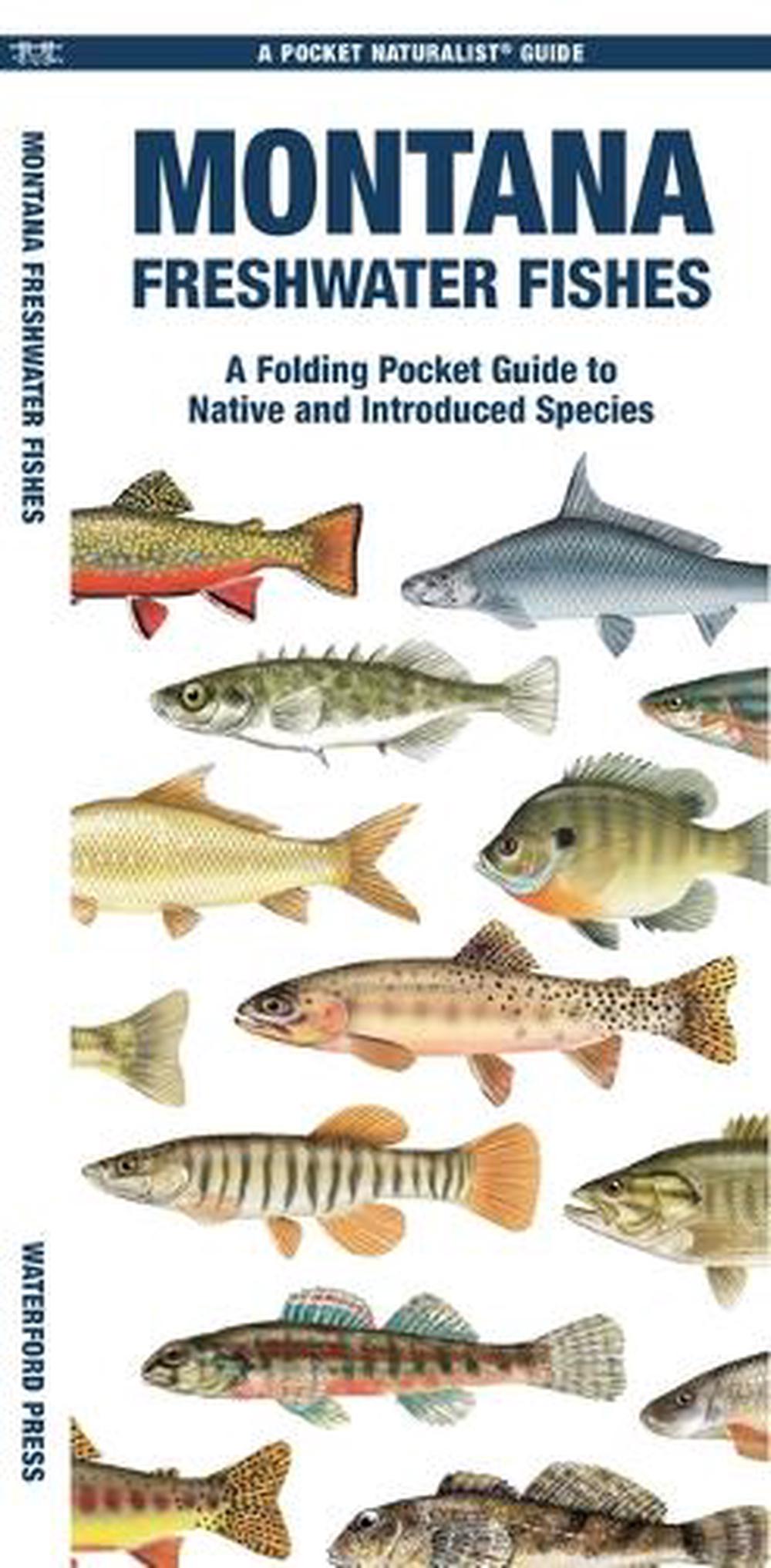 Montana Freshwater Fishes by Matthew Morris - ISBN: 9781620055632