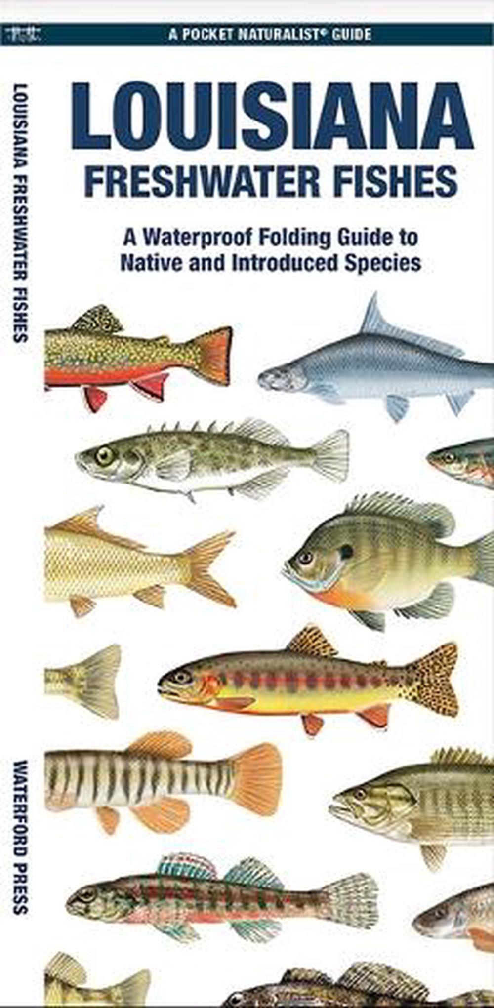 Louisiana Freshwater Fishes, 9781620056592