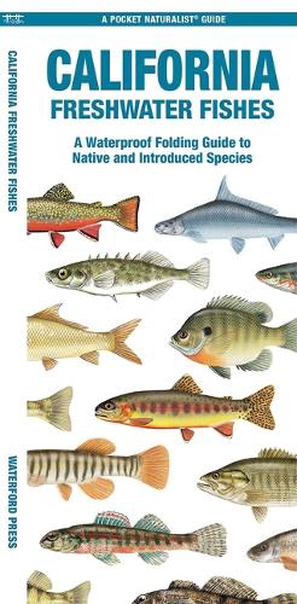 California Freshwater Fishes, 9781620056653