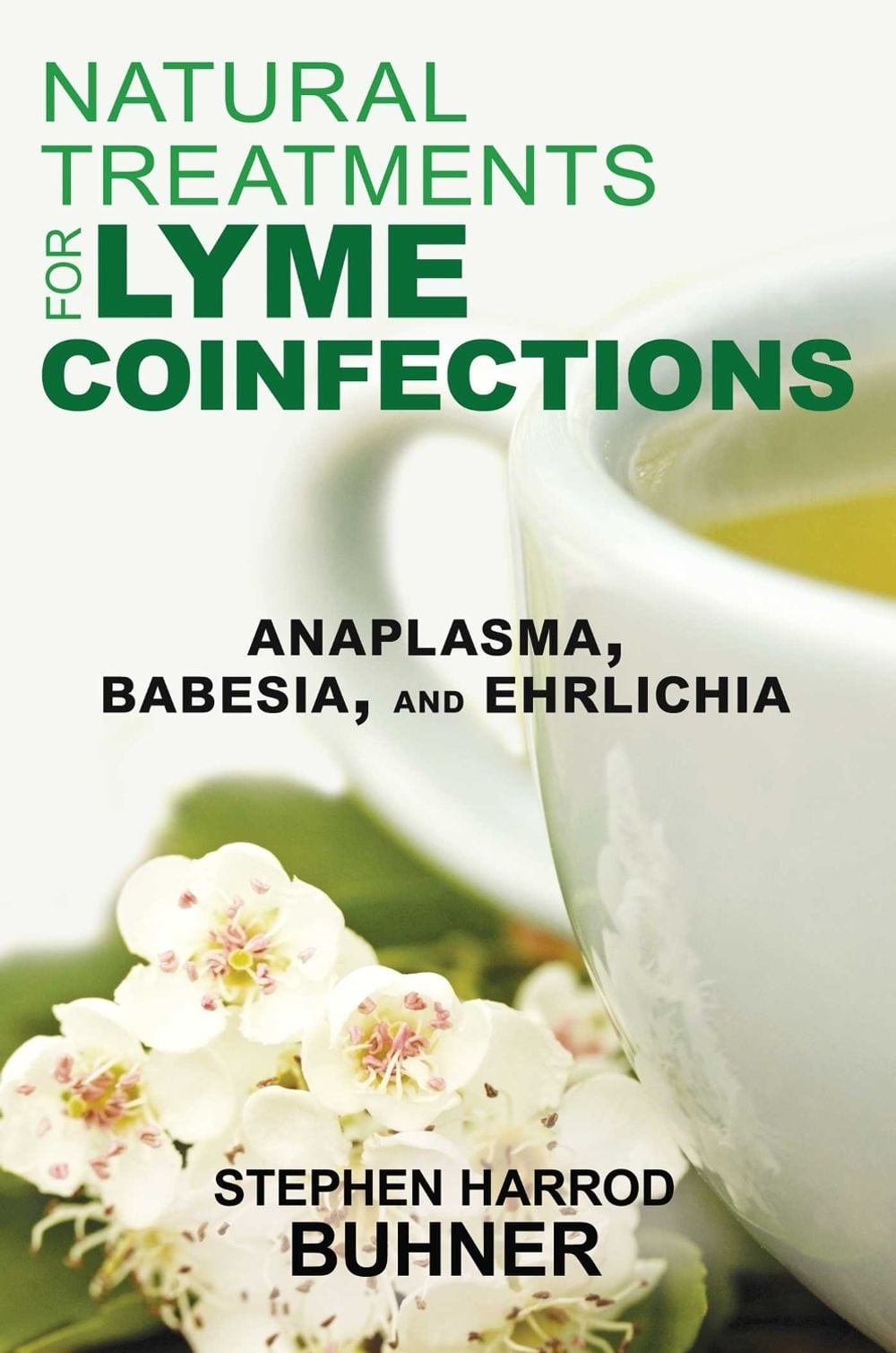 Natural Treatments for Lyme Coinfections by Stephen Harrod Buhner - ISBN: 9781620552582