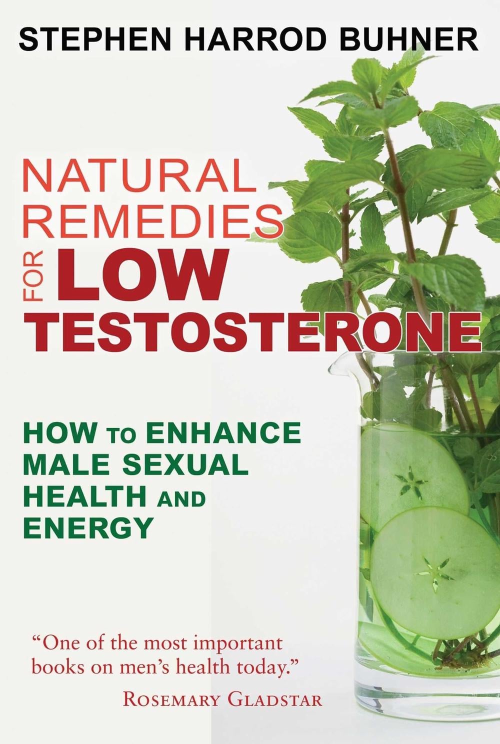 Natural Remedies for Low Testosterone by Stephen Harrod Buhner - ISBN: 9781620555040