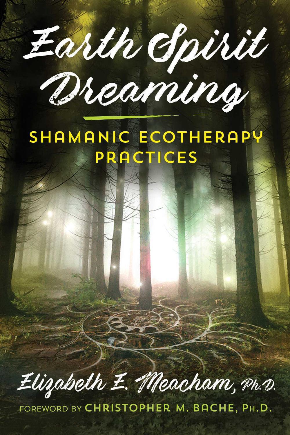 Earth Spirit Dreaming by Elizabeth E. Meacham - ISBN: 9781620559871