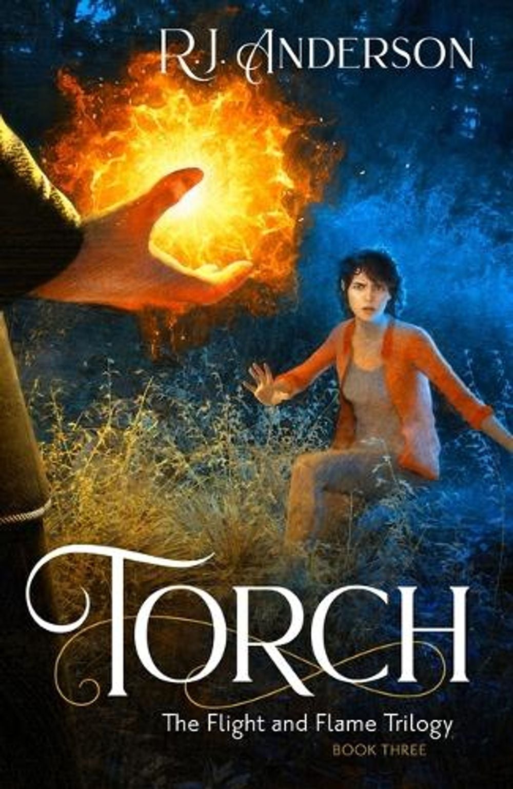 Torch by R.J. Anderson - ISBN: 9781621841609