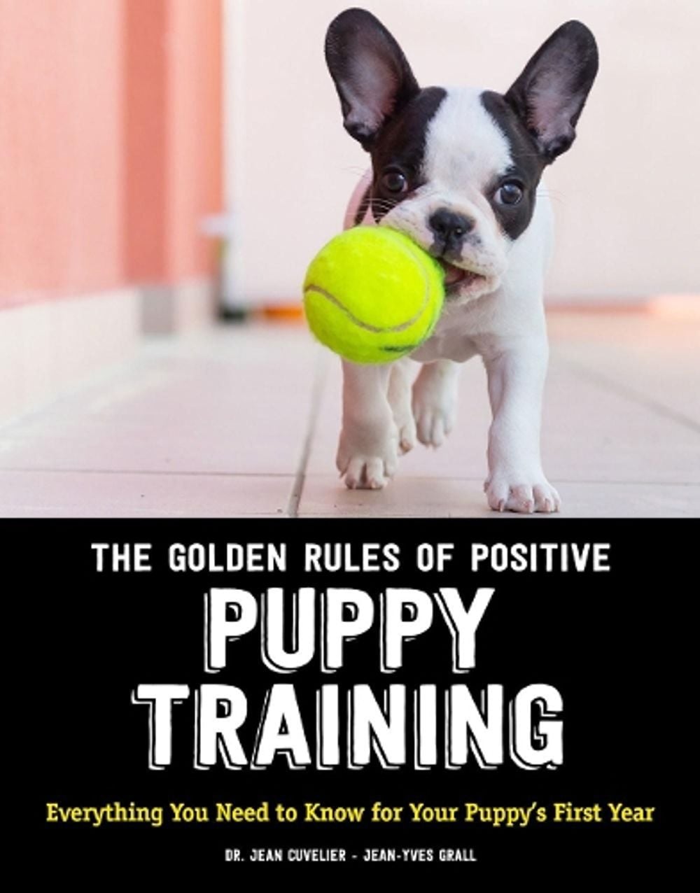 The Golden Rules of Positive Puppy Training by Jean Cuvelier - ISBN: 9781621871873