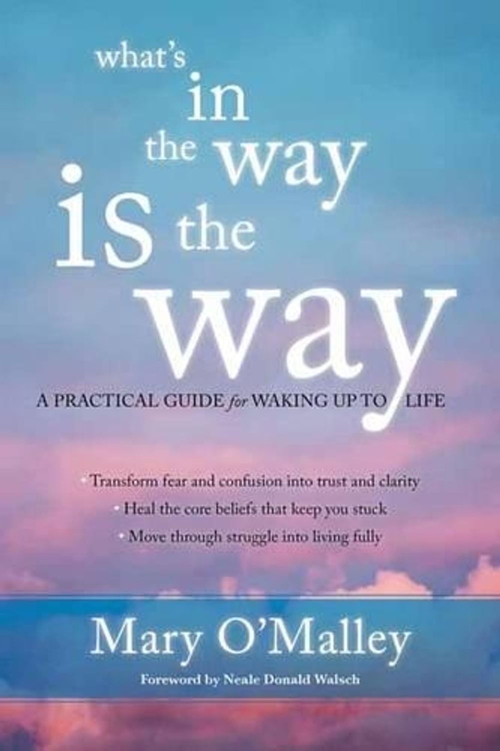 What's in the Way Is the Way by Mary O'Malley - ISBN: 9781622035243