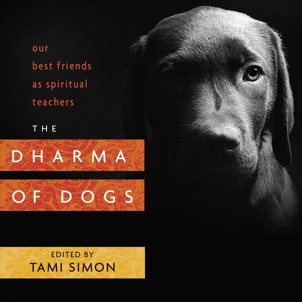 The Dharma of Dogs by Tami Simon - ISBN: 9781622037414