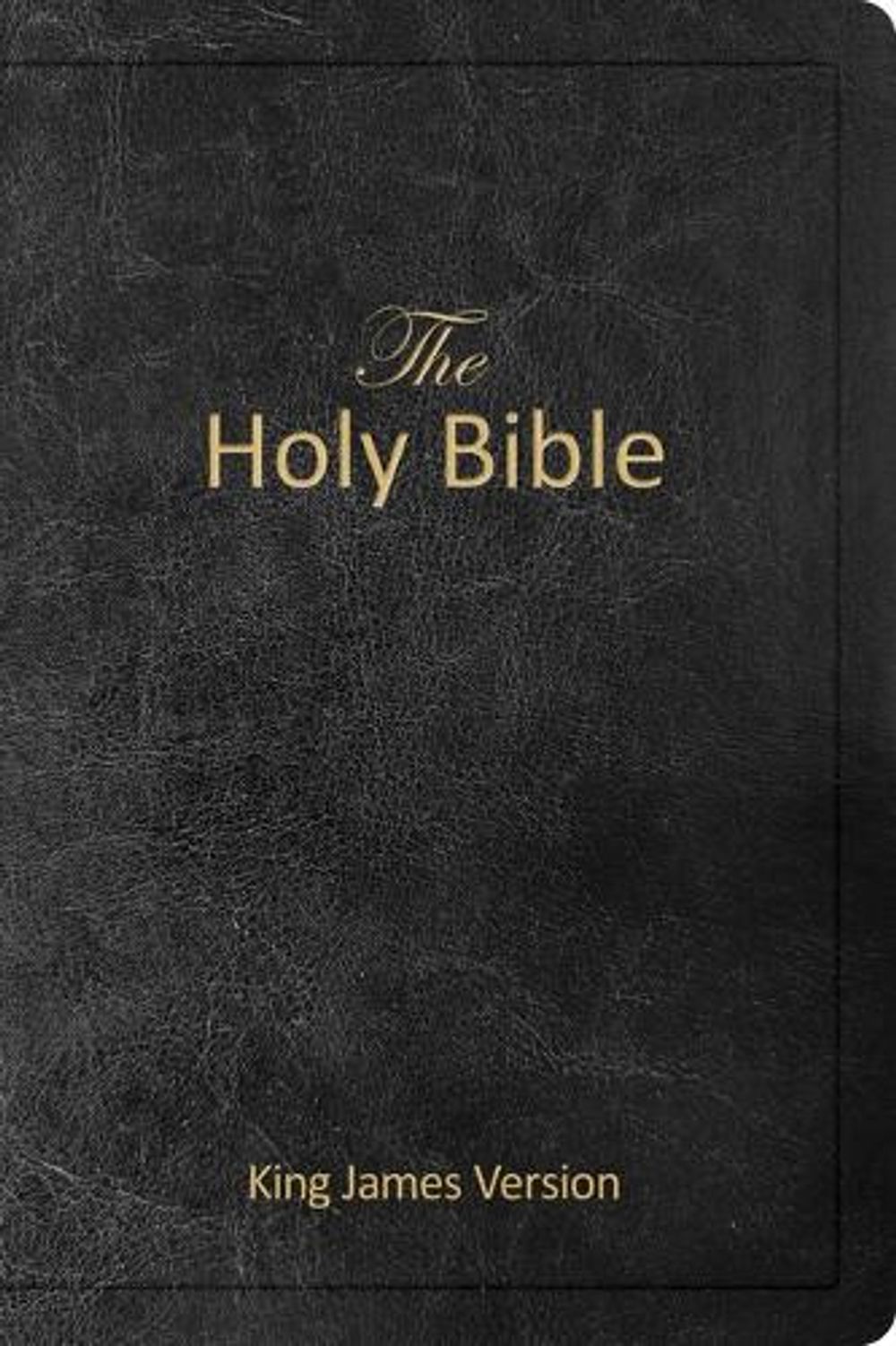 The Holy Bible - King James Version (Kjv, Holy Spirit Edition, Black ...