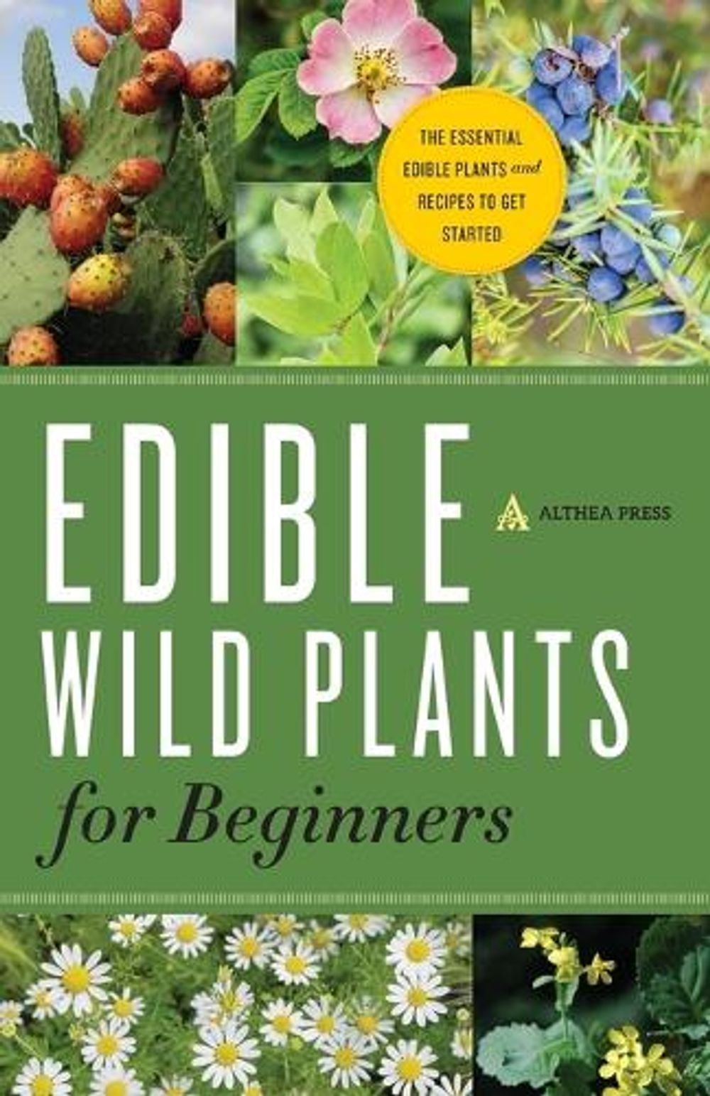 Edible Wild Plants for Beginners by Althea Press - ISBN: 9781623152512