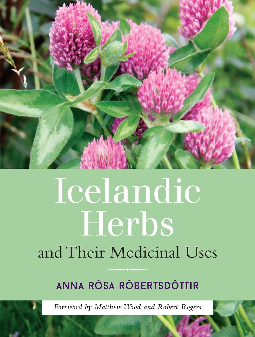 Icelandic Herbs and Their Medicinal Uses by Anna Rosa Robertsdottir - ISBN: 9781623170226