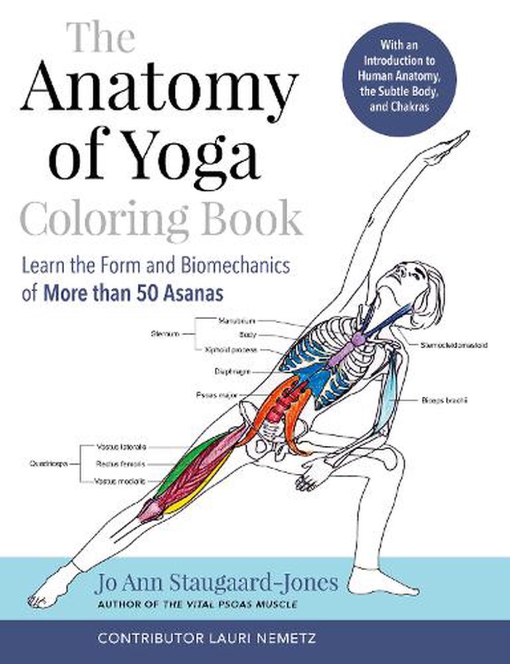 The Anatomy of Yoga Coloring Book by Jo Ann Staugaard-Jones, Paperback ...