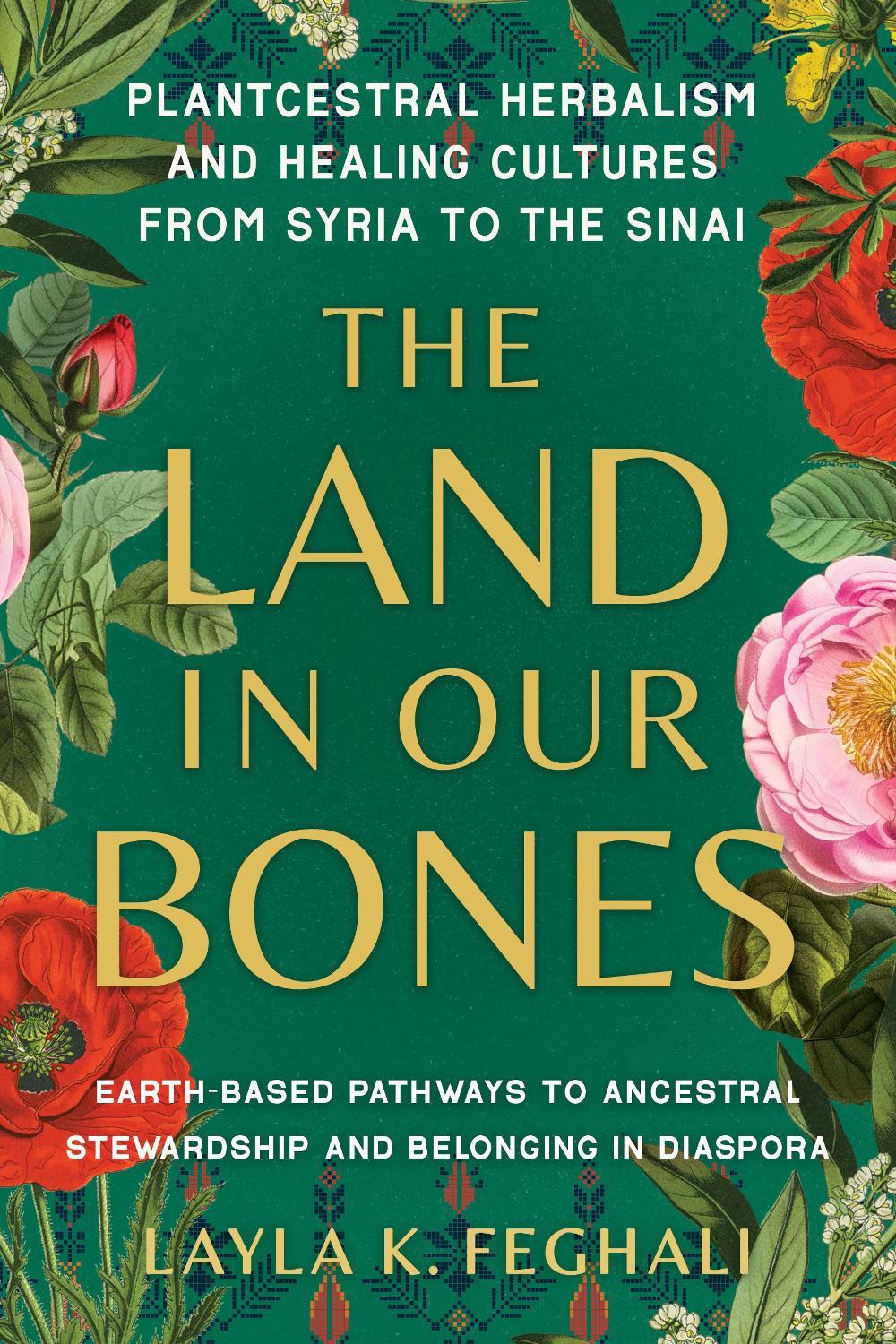 The Land in Our Bones by Layla K. Feghali - ISBN: 9781623179144