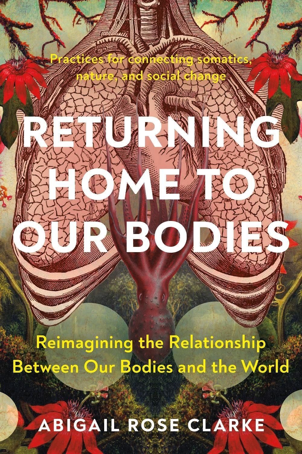 Returning Home to Our Bodies by Abigail Rose Clarke - ISBN: 9781623179380