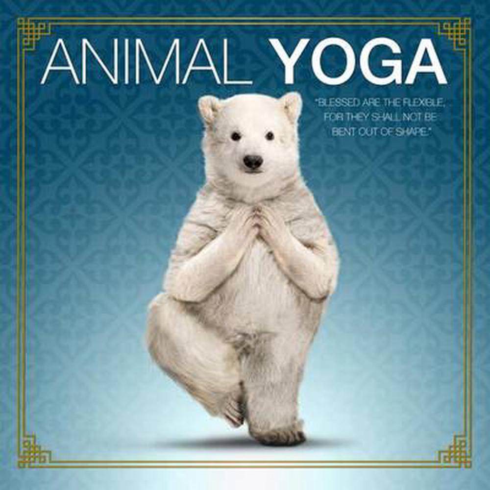 Animal Yoga, 9781623435639