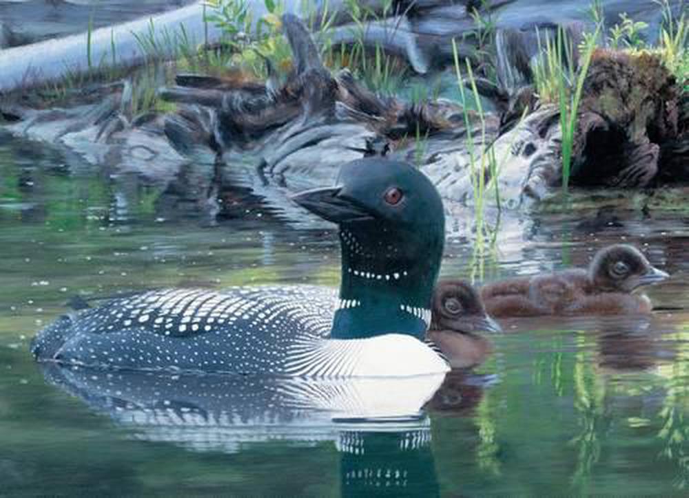 Cow Yoga Jigsaw, 9781623439590