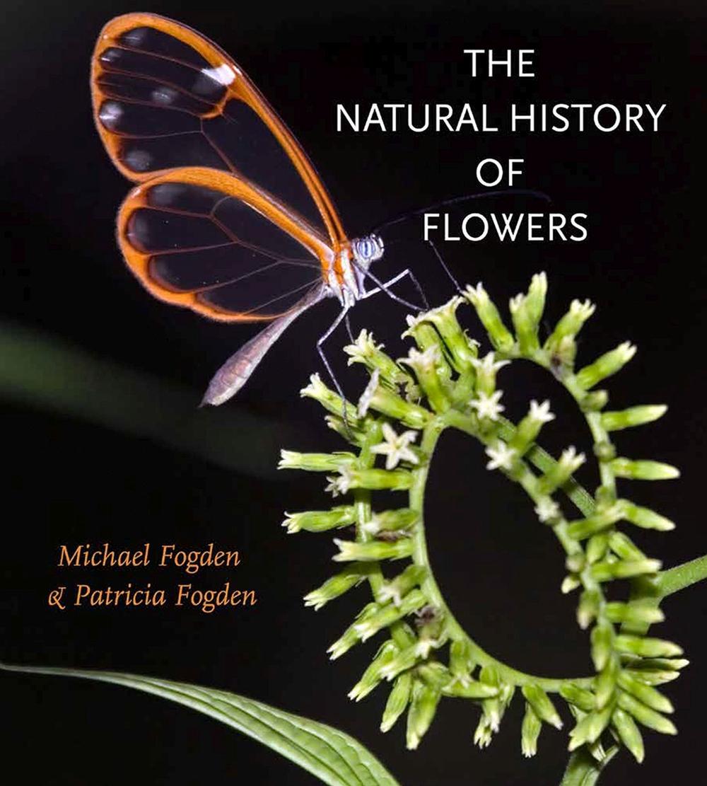 The Natural History of Flowers by Michael Fogden - ISBN: 9781623496449
