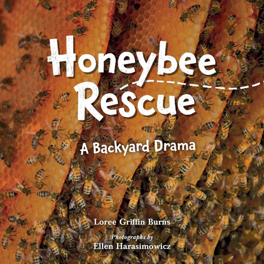 Honeybee Rescue by Loree Griffin Burns - ISBN: 9781623542399
