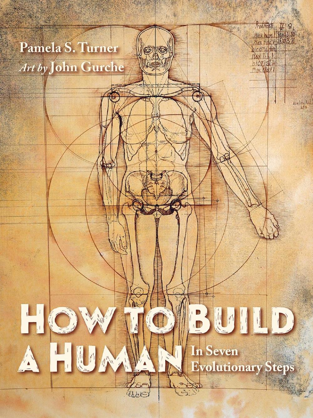 How to Build a Human by Pamela S. Turner - ISBN: 9781623542504