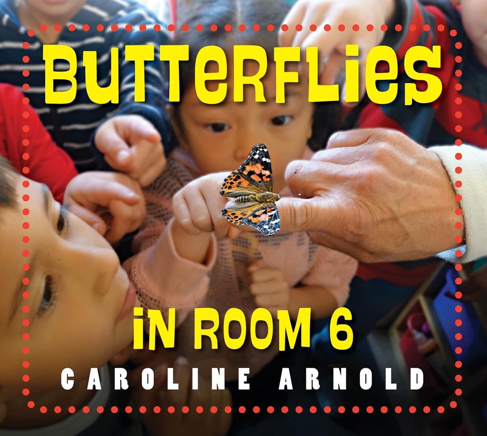 Butterflies in Room 6 by Caroline Arnold - ISBN: 9781623542672