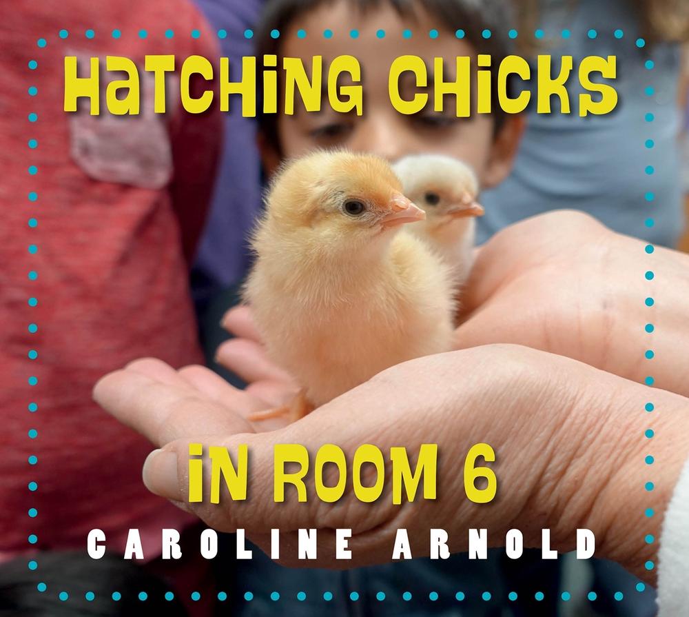 Hatching Chicks in Room 6 by Caroline Arnold - ISBN: 9781623542689