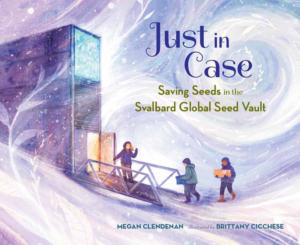 Just in Case by Megan Clendenan - ISBN: 9781623544805