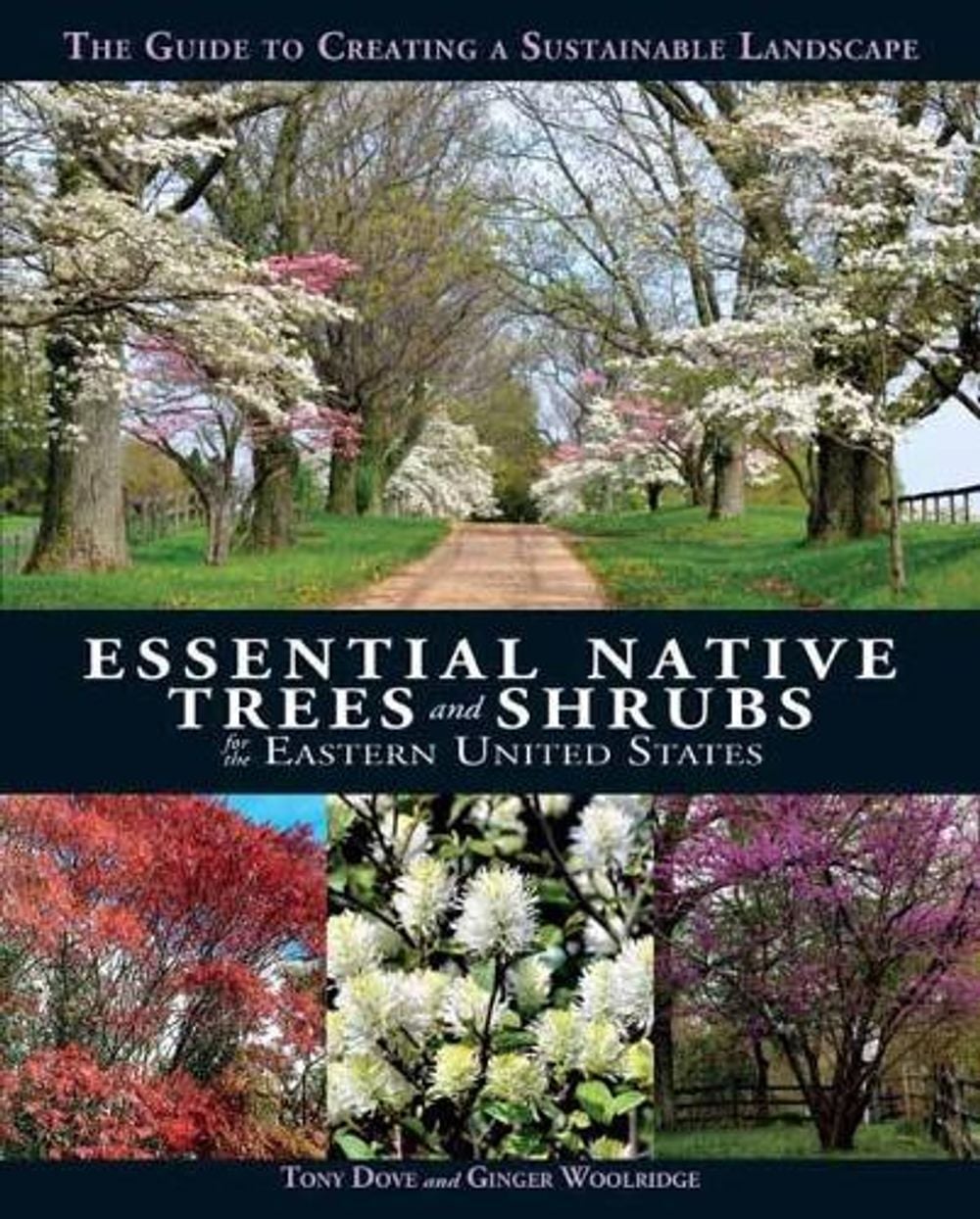 Essential Native Trees and Shrubs for the Eastern United States by Tony Dove - ISBN: 9781623545031