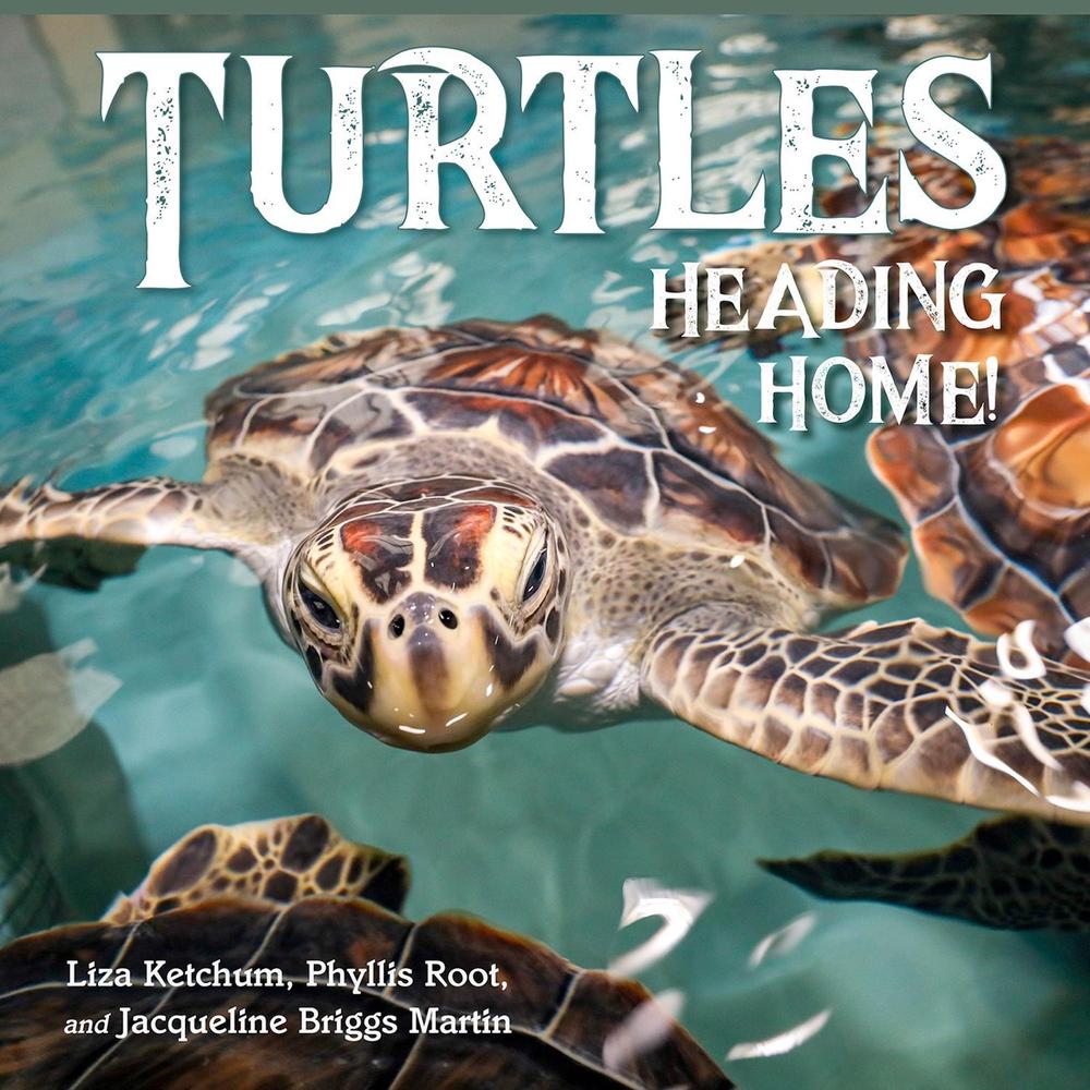 Turtles Heading Home! by Liza Ketchum - ISBN: 9781623545864