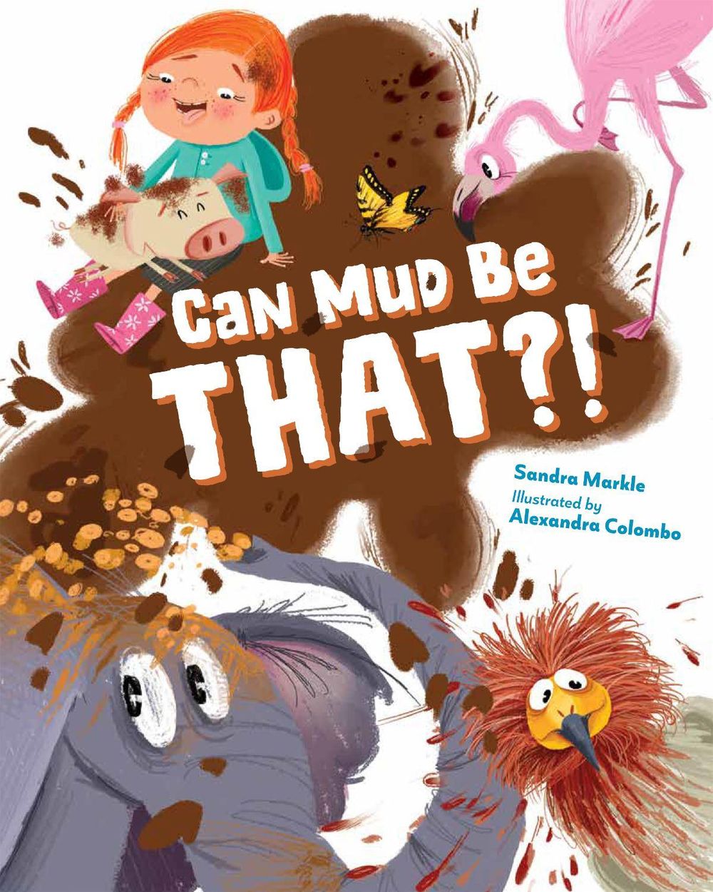 Can Mud Be THAT?! by Sandra Markle - ISBN: 9781623546380