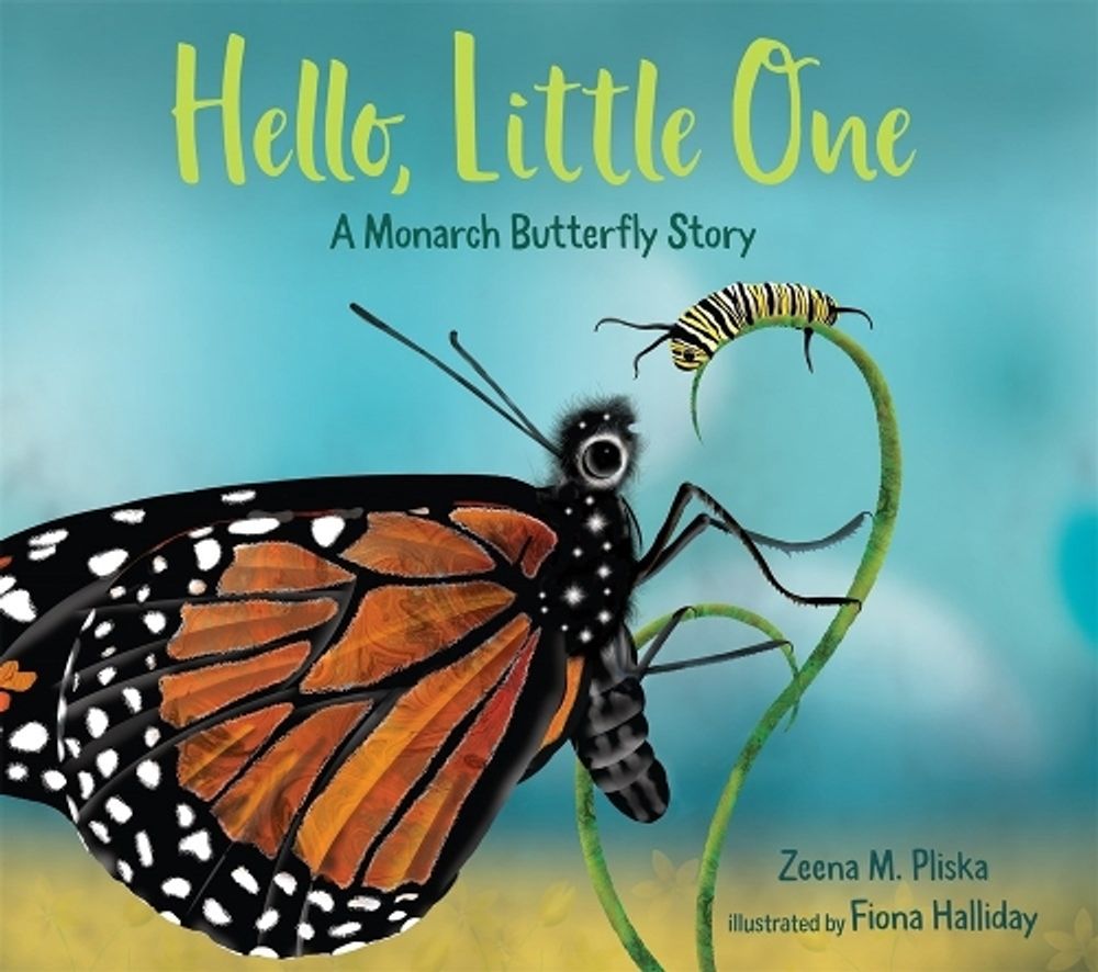 Hello, Little One: A Monarch Butterfly Story by Zeena Pliska - ISBN: 9781624149313