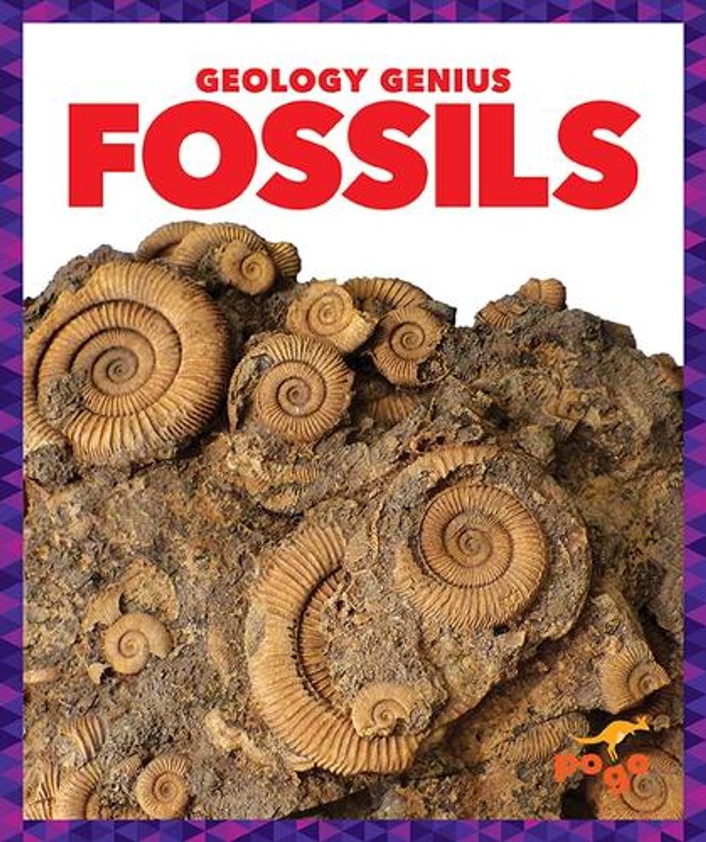 Fossils by Rebecca Pettiford - ISBN: 9781624968280