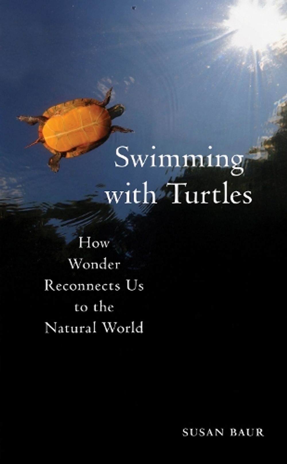 Swimming with Turtles by Susan Baur - ISBN: 9781625349545
