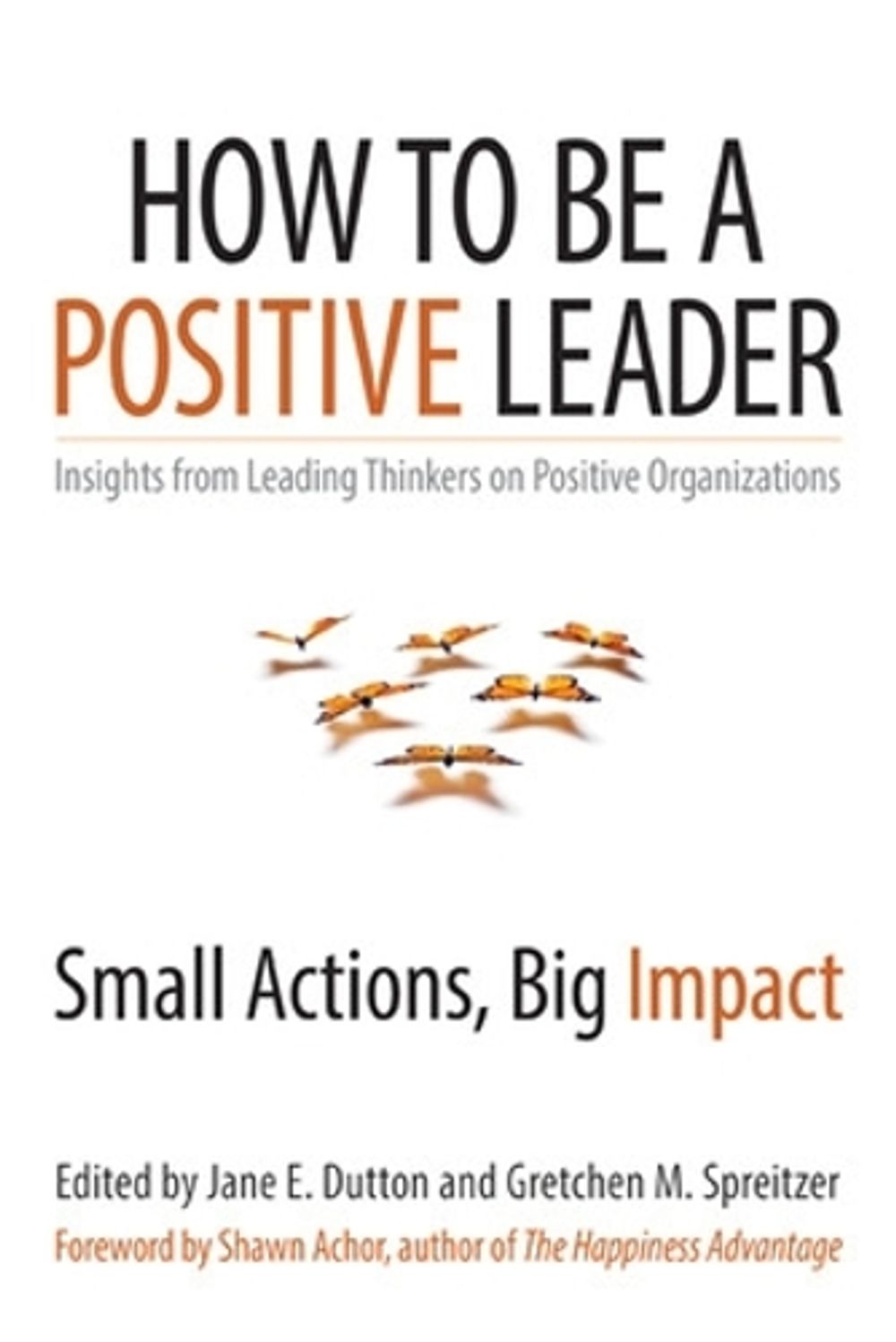 How to Be a Positive Leader: Small Actions, Big Impact by Jane S. Dutton - ISBN: 9781626560284