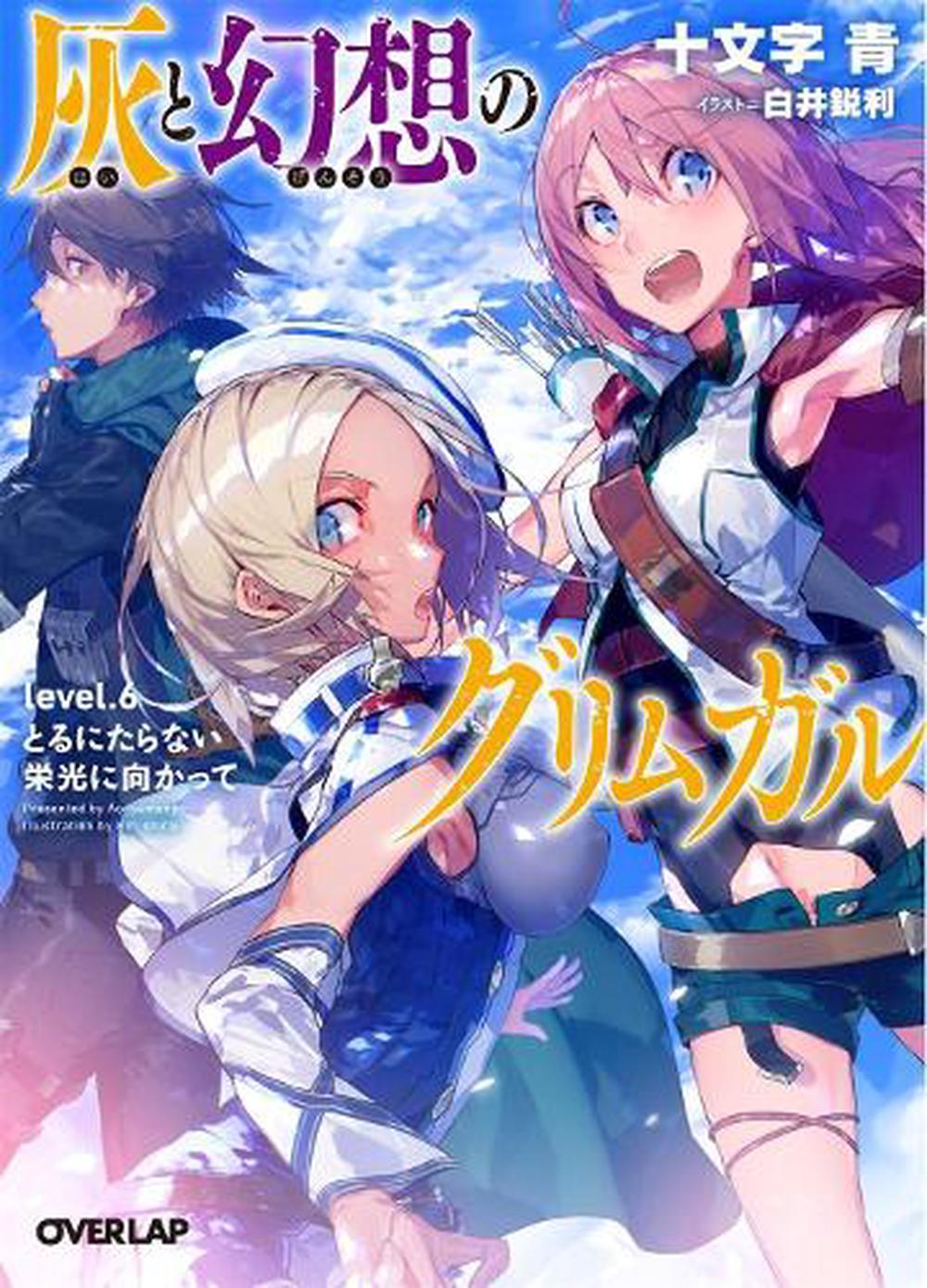 Grimgar of Fantasy and Ash (Light Novel) Vol. 6, 9781626927995