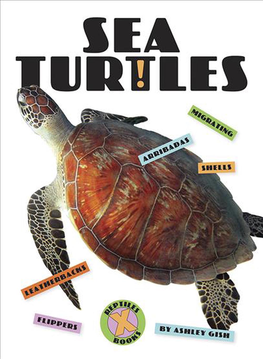 Sea Turtles by Ashley Gish, Paperback, 9781628326727 | Buy online at ...