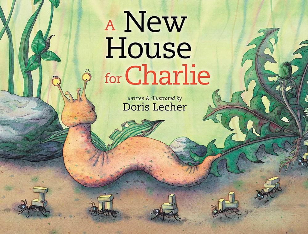 A New House for Charlie by Doris Lecher - ISBN: 9781628738148
