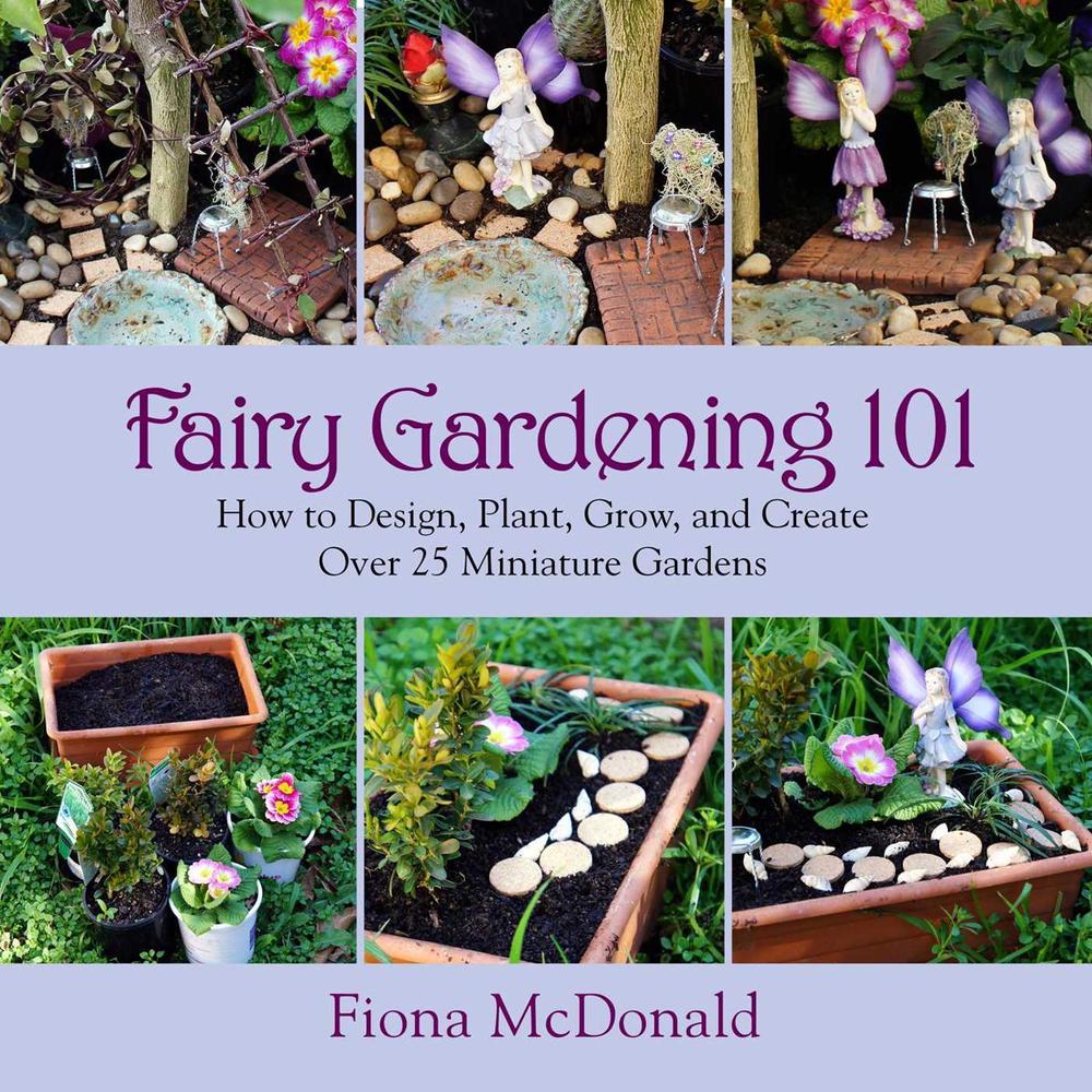 Fairy Gardening 101, 9781629141794